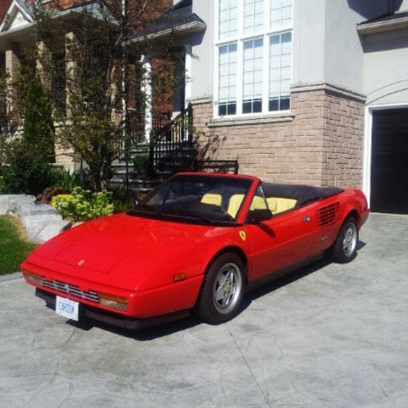 Meet your Posher, Wayne - Picture 1 of 1